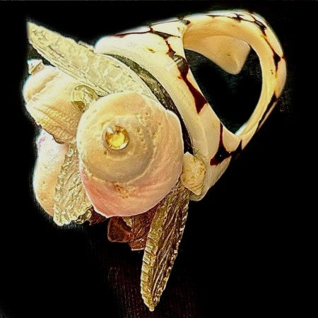 Rings-01860