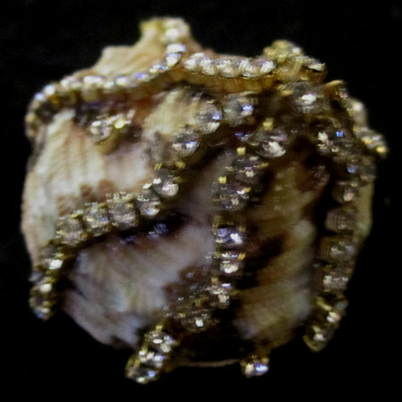Rings-01167