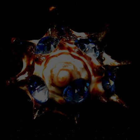 Rings-01087