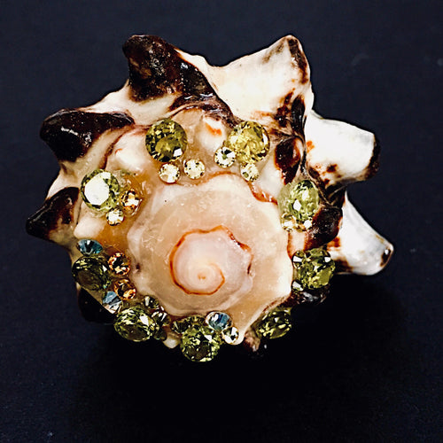 Rings-01530