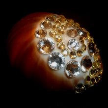 Load image into Gallery viewer, Rings-00747