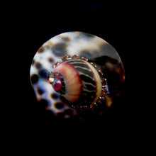Load image into Gallery viewer, Rings-01276