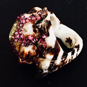 Rings-01527