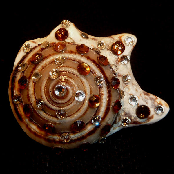 Rings-00571