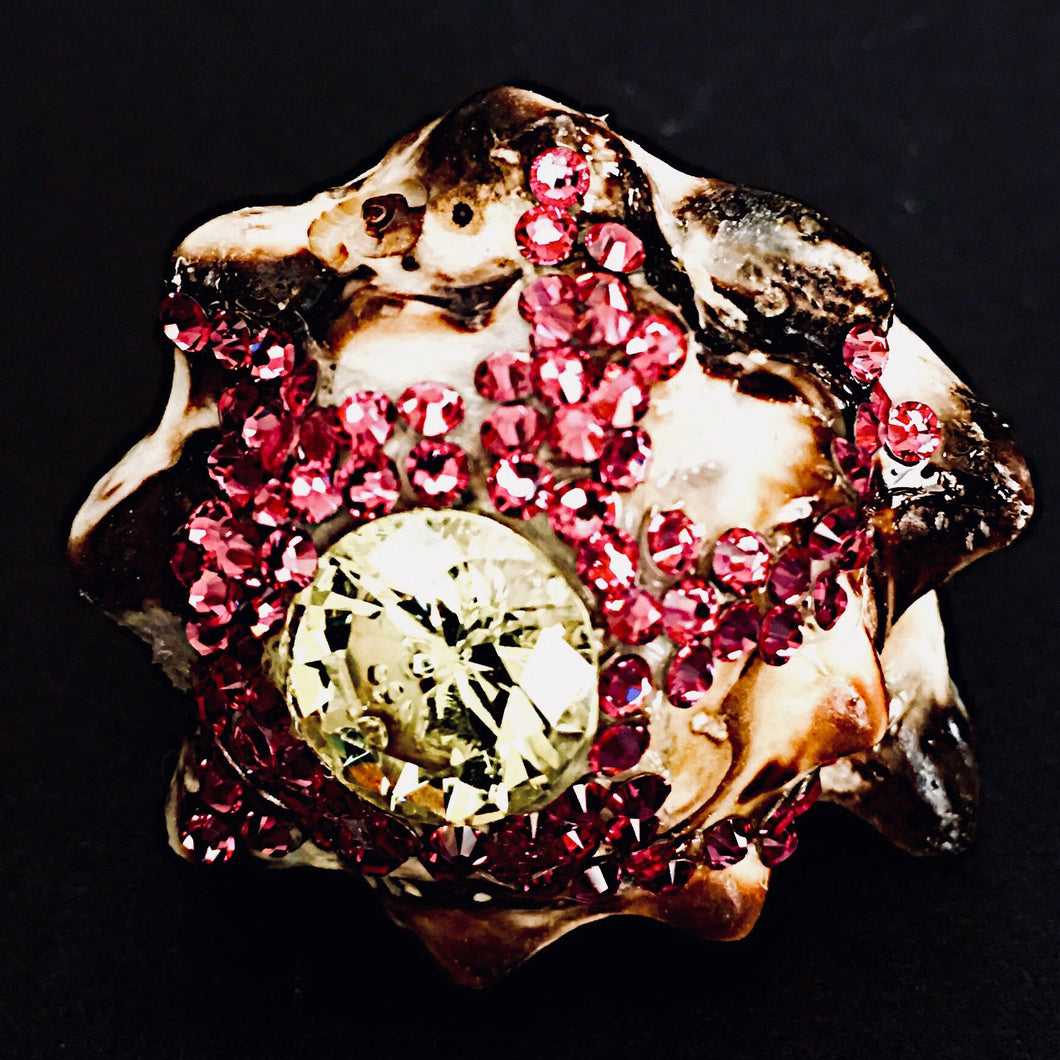Rings-01527