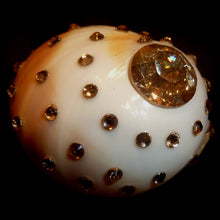 Load image into Gallery viewer, Rings-00737