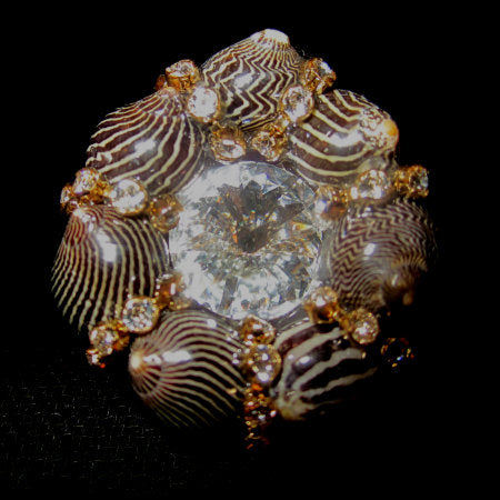 Rings-01234