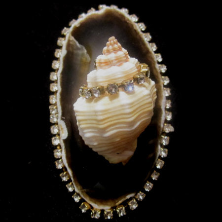 Rings-01137