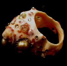 Load image into Gallery viewer, Rings-00880