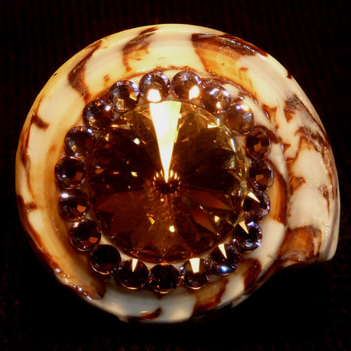 Rings-00912