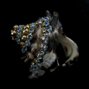 Rings-01289