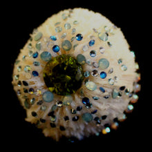 Load image into Gallery viewer, Rings-01242
