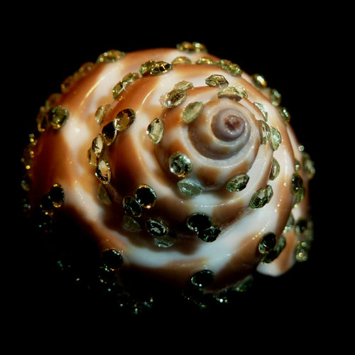 Rings-00652