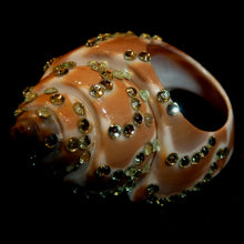 Load image into Gallery viewer, Rings-00652