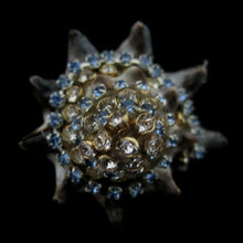 Load image into Gallery viewer, Rings-01289