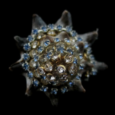 Rings-01289