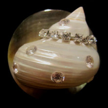 Load image into Gallery viewer, Rings-01136