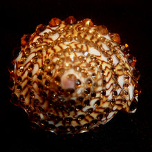 Load image into Gallery viewer, Rings-00672