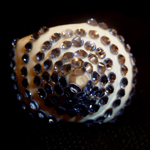 Rings-00688