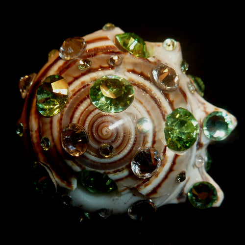 Rings-00780