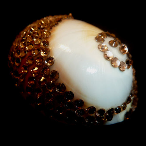 Rings-00686