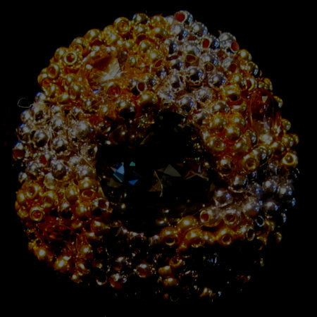 Rings-01089