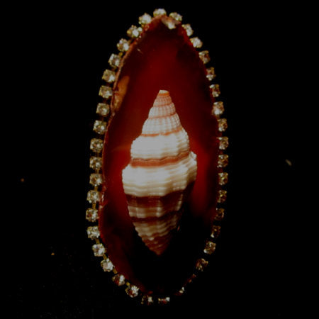 Rings-01144