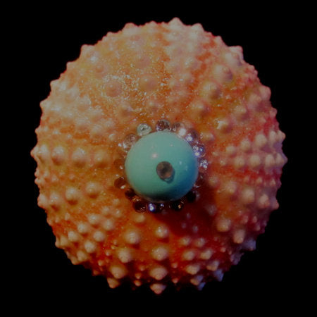 Rings-01100