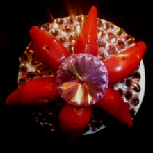 Load image into Gallery viewer, Rings-00952
