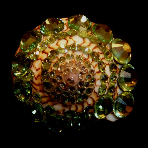 Rings-00681